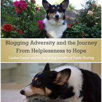 Blogging Adversity and the Journey from Helplessness to Hope