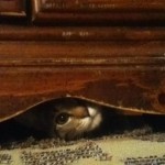 I See You