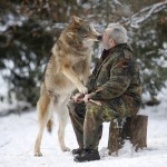 10 Stunning Photographs Of Wolves And The Man Who Lives Among Them