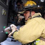 Two Tiny Puppies Were Saved From A Fire In Florida