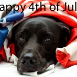 Keep Your Dog Safe On The 4th Of July