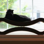 A Cat Scratcher That’s Not Ugly? I’ll Take 2!