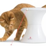 Awesome Laser Toy For Cats & Dogs!