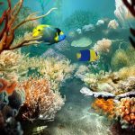 Animal Jigsaw Puzzles: Tropical Fish & Coral