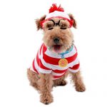 Halloween Costume Ideas For Dogs