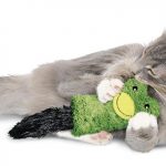 10 Most Popular Cat Toys on Amazon Under 20 Dollars