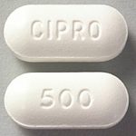 Can I Give My Dog Ciprofloxacin?