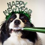 Happy New Year 2014