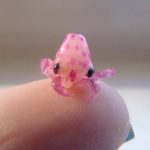 True Hilarious Facts About The Octopus!