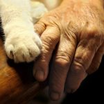 A Grandmother And Her Cat