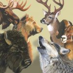 What Is Your Native American Spirit Animal?