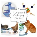 Unique Cat Toys to Challenge Your Cat’s Brain
