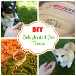 How to Make Dehydrated Dog Treats