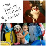 Top Pet-Friendly Hotel Chains