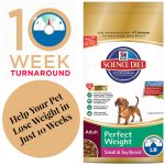 Help Your Pet Find The #PerfectWeight