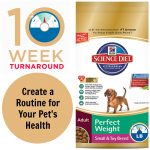 Achieve Your Pet’s #PerfectWeight by Creating a Healthy Routine