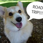 Road Tripping to Blogpaws