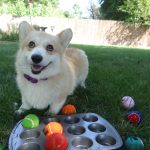 Our Tennis Ball Pet Hacks
