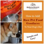 Add Raw Pet Food to Your Pet’s Diet with #StellaandChewys Meal Mixers