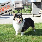 Keep Your Pet Safe With #NuzzleSmartCollar GPS Tracking