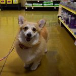 Eve Goes Shopping for #BayerExpertCare