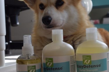 Year Round Natural Flea and Tick Control