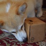 Blogger Challenge: DIY Treat Dispensing Dog Toy
