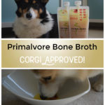 How To Use Primalvore Bone Broth to Up Your Dog’s Nutrition Plan
